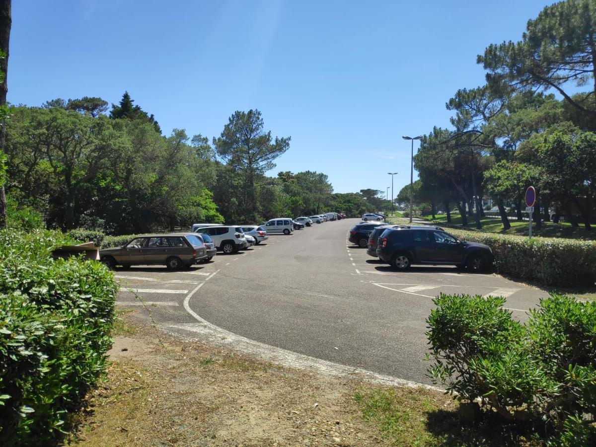 Appt Seignosse Le Penon - Plages Commerces A Pied ภายนอก รูปภาพ